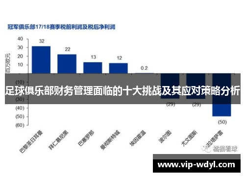 足球俱乐部财务管理面临的十大挑战及其应对策略分析