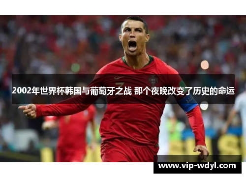 2002年世界杯韩国与葡萄牙之战 那个夜晚改变了历史的命运