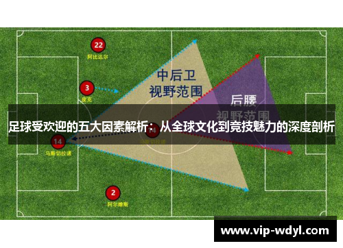 足球受欢迎的五大因素解析：从全球文化到竞技魅力的深度剖析
