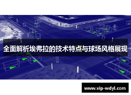 全面解析埃弗拉的技术特点与球场风格展现