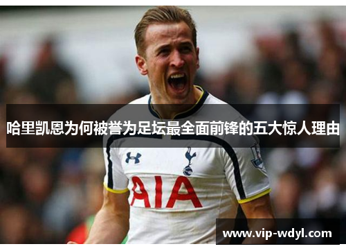哈里凯恩为何被誉为足坛最全面前锋的五大惊人理由