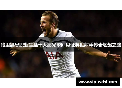 哈里凯恩职业生涯十大高光瞬间见证英伦射手传奇崛起之路