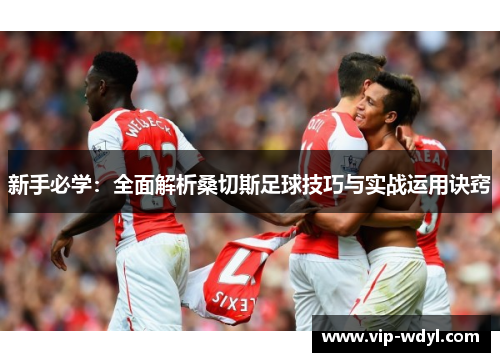 新手必学:全面解析桑切斯足球技巧与实战运用诀窍 新手必学:全面解析桑切斯足球技巧与实战运用诀窍