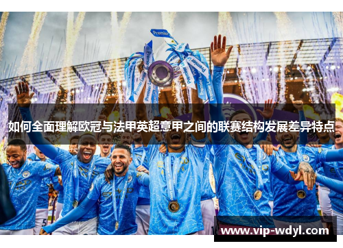 如何全面理解欧冠与法甲英超意甲之间的联赛结构发展差异特点
